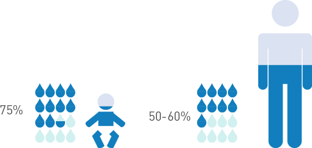 The total body water content in infants is much higher than in adults